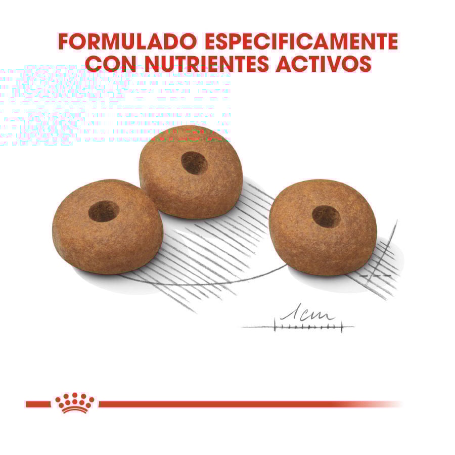 12 kg Royal Canin Medium Light Weight Care ra&ccedil;&atilde;o para c&atilde;es, , large Imagem n&uacute;mero 4